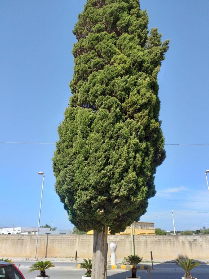 L'Albero Bello Holiday Mazara del Vallo Exterior foto